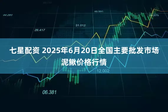 七星配资 2025年6月20日全国主要批发市场泥鳅价格行情